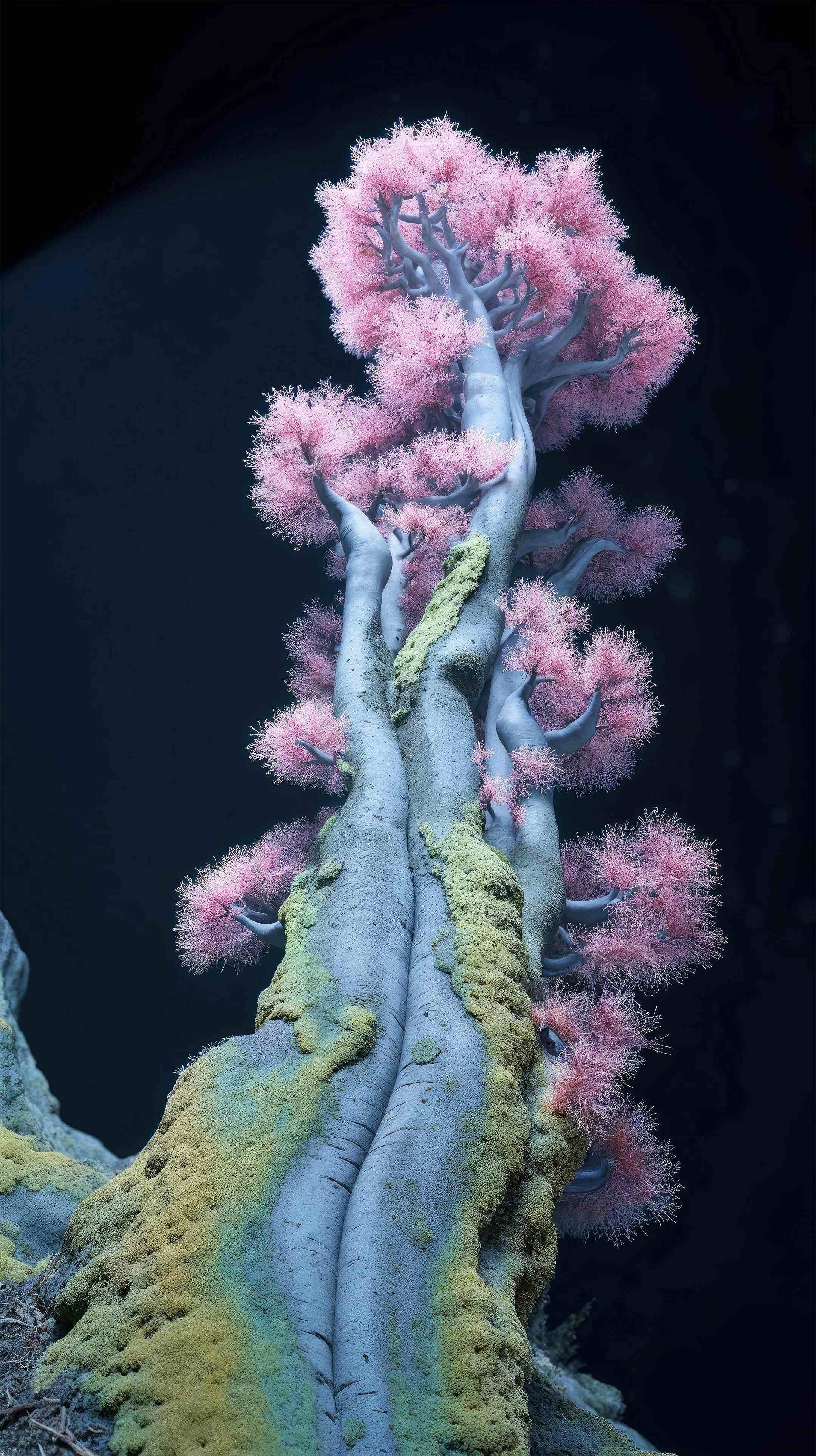 Neuro-Flora: Computational Botany  Image