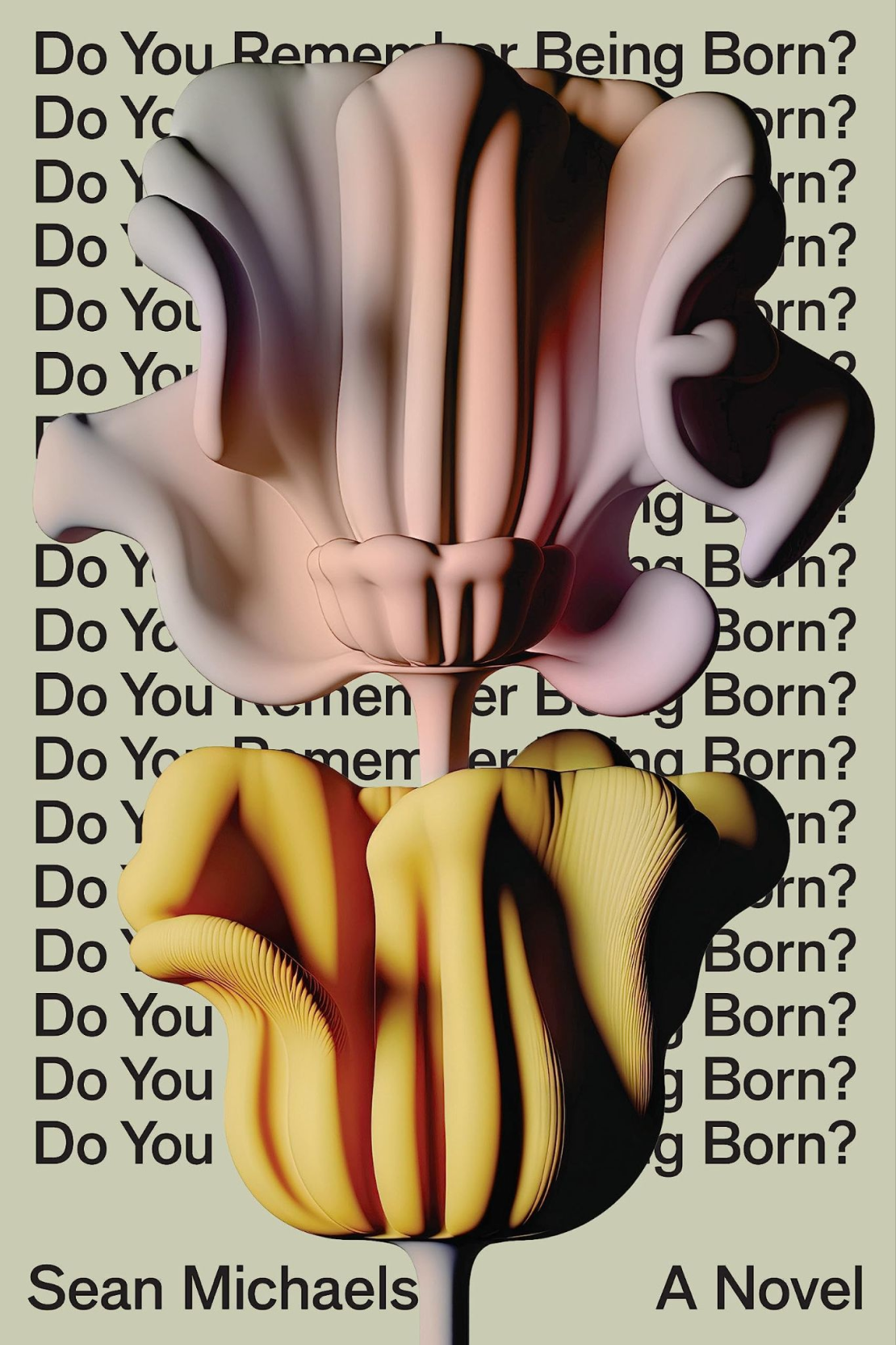 Do You Remember Being Born? by Sean Michaels Image